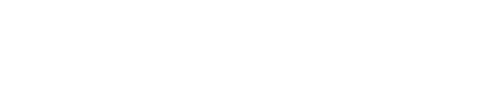 BITFII Solution