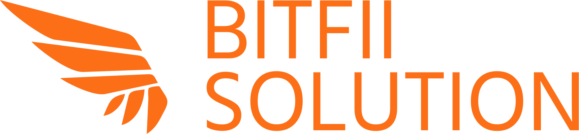 BITFII Solution